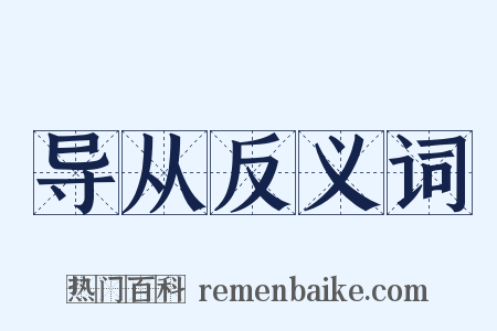 导从反义词是什么意思的图片